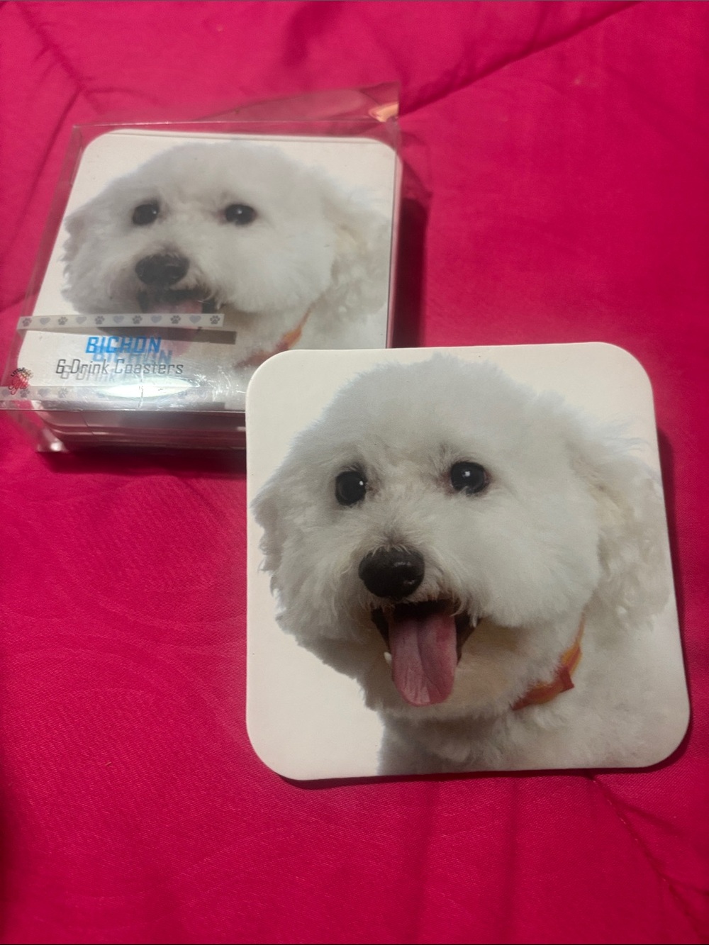 White Bichon Frise Dog Coasters — Pack of 6